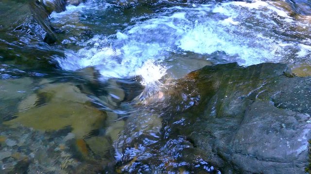 4K.Stream, river water in  summer wood with stone. Dolly top shot