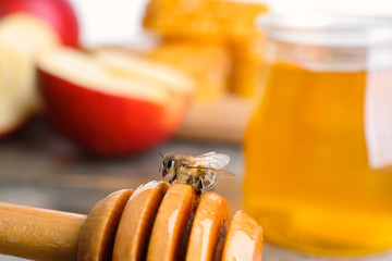 Honey dipper with bee on blurred background