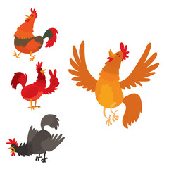 Cute cartoon rooster vector illustration chicken farm animal agriculture domestic bird character.