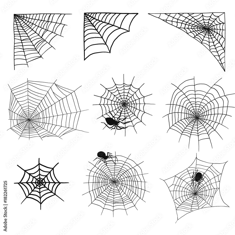 Wall mural spiders and spider web silhouette spooky nature halloween element vector cobweb decoration fear spoo