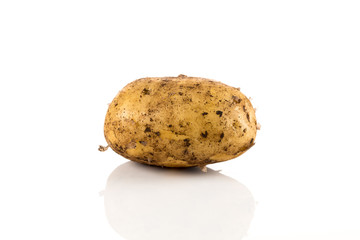 Dirty potato isolated on white background.