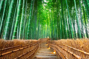 Fotobehang Bamboe Bamboebos in Kyoto, Japan.  © tawatchai1990