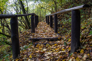 Beautiful little bridge in the park in autumn.