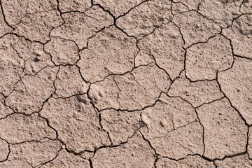 Embalse de la Pedrera - See in Spanien - Detail: ausgetrocknetes Ufer 