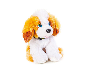 Cute toy dog on white background