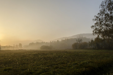 Fototapeta na wymiar pola, mgła 