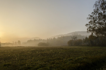 pola,  mgła  © wedrownik52