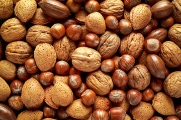 Mix of different kinds of nuts in shell