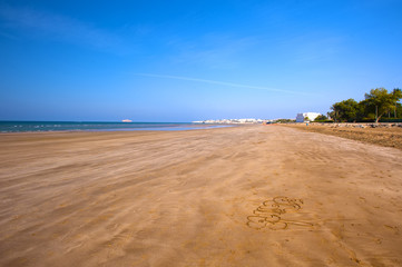 White sandy beach of Oman. Sea, palm trees, clean sand.