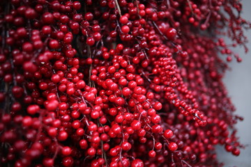 Faux schisandra berry harvest instillation