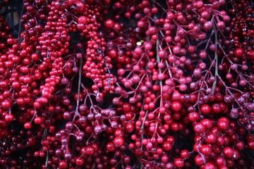 Faux schisandra berry harvest instillation