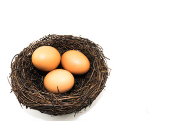 Eggs in the small artificial bird nest