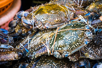Fresh crabs in fishery market