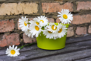 Obraz premium Bouquet of chamomile flowers