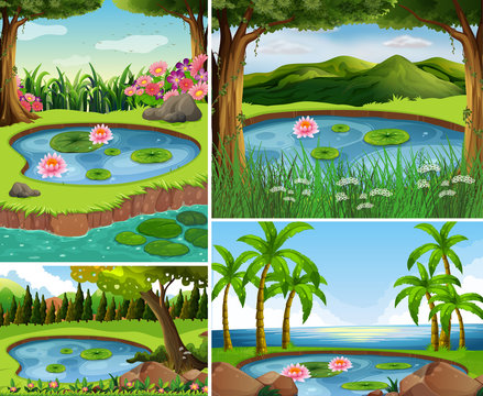 Four scenes with pond in forest