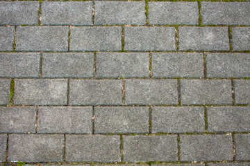Brick texture background. Bricks grunge pattern.