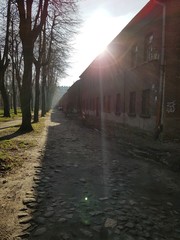 Droga brukowa © michalsen