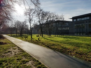 Ścieżka © michalsen