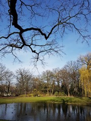 Jezioro w parku © michalsen