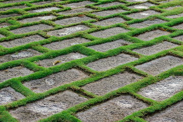 Background stone paver blocks with grass in gaps. Vietnam.