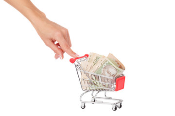 Banknotes of five hundred hryvnias in the shopping cart, isolated