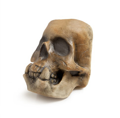 Human skull isolated on white