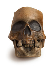 Human skull isolated on white