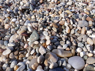 Deniz taşları