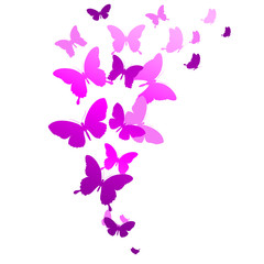 Obraz na płótnie Canvas beautiful pink butterflies, isolated on a white