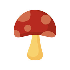 fungus icon image