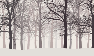 Vector illustration of a winter forest without leaves with hazy backgrounds
