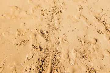 Trip to Madeira Island - Urlaub auf Madeira