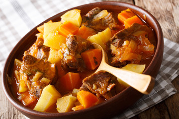 Spanish stew estofado with beef and vegetables in a bowl close-up. horizontal