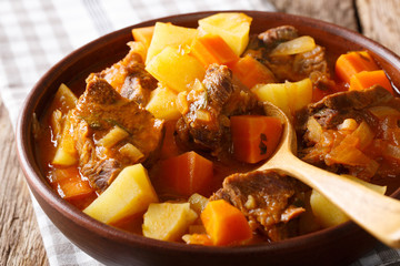 Spicy stew estofado with beef and vegetables in a bowl close-up. horizontal