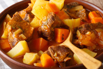 Mexican thick estofado soup with beef close-up. horizontal