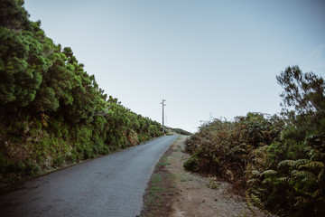 Trip to Madeira Island - Urlaub auf Madeira