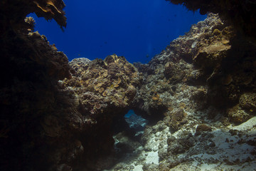 Hole through a coral reef