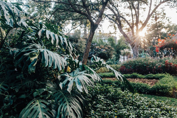 Relaxing Holiday on Madeira Island