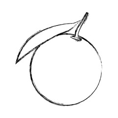 Orange delicious fruit