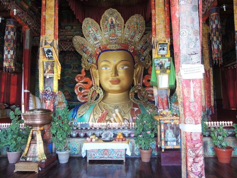 places birds children budhha shantistupa camels water leh ladakh thailand