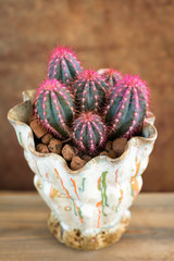Naklejka premium Pink cactus in a pot