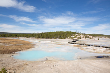 Norris geyser basin