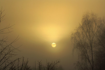 Dichter Nebel lässt die Sonne kaum durch