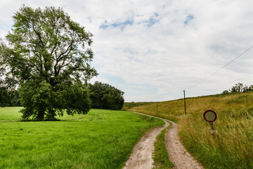 Feldweg mit Baum irgendwo in Ostdeutschland