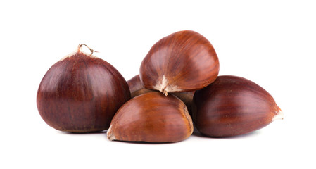 Fresh chestnuts isolated on white background. Hippocastanum isolated. Chestnut with clipping path
