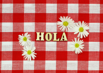 Hola (Hello in Spanish) written with wooden letters on red and white checkered cloth
