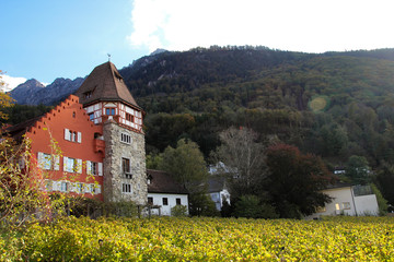 Vineyards in Vaduz