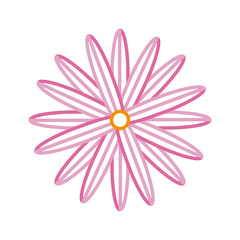 beautiful flower icon 