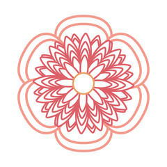 beautiful flower icon 