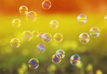beautiful festive soap bubbles flying over a Sunny meadow on a summer day